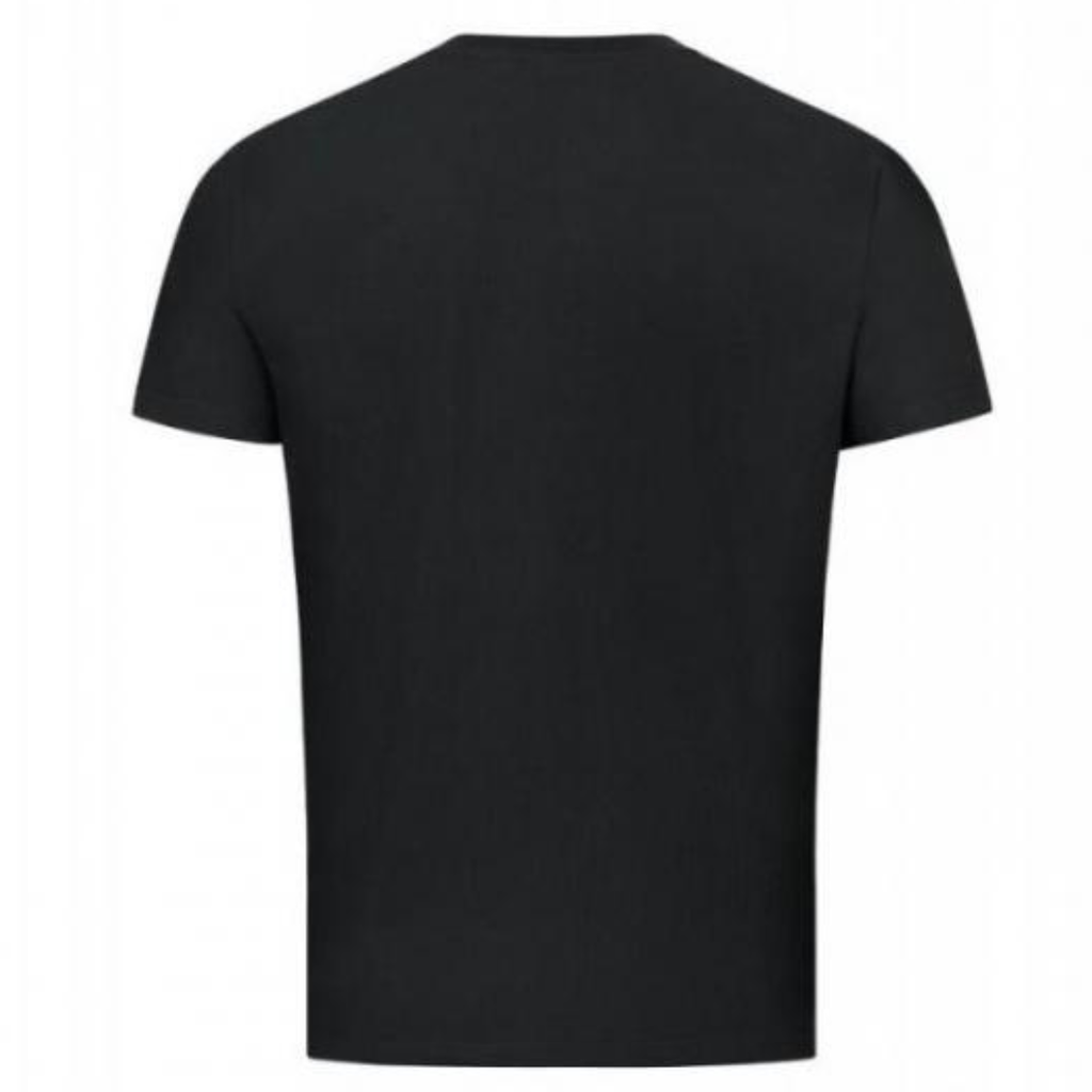 Blaser T-shirt argali noir